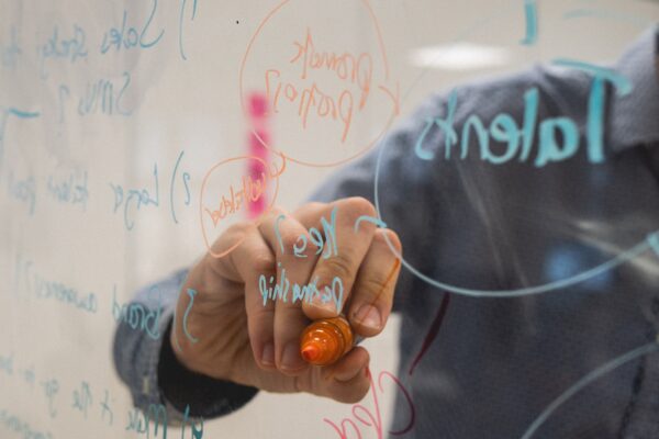 person holding orange flower petals