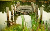 brown wooden dock during daytime