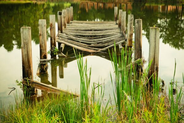 brown wooden dock during daytime